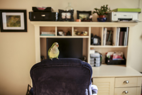 Image Source: Madralynn Haye of Otter Photography.